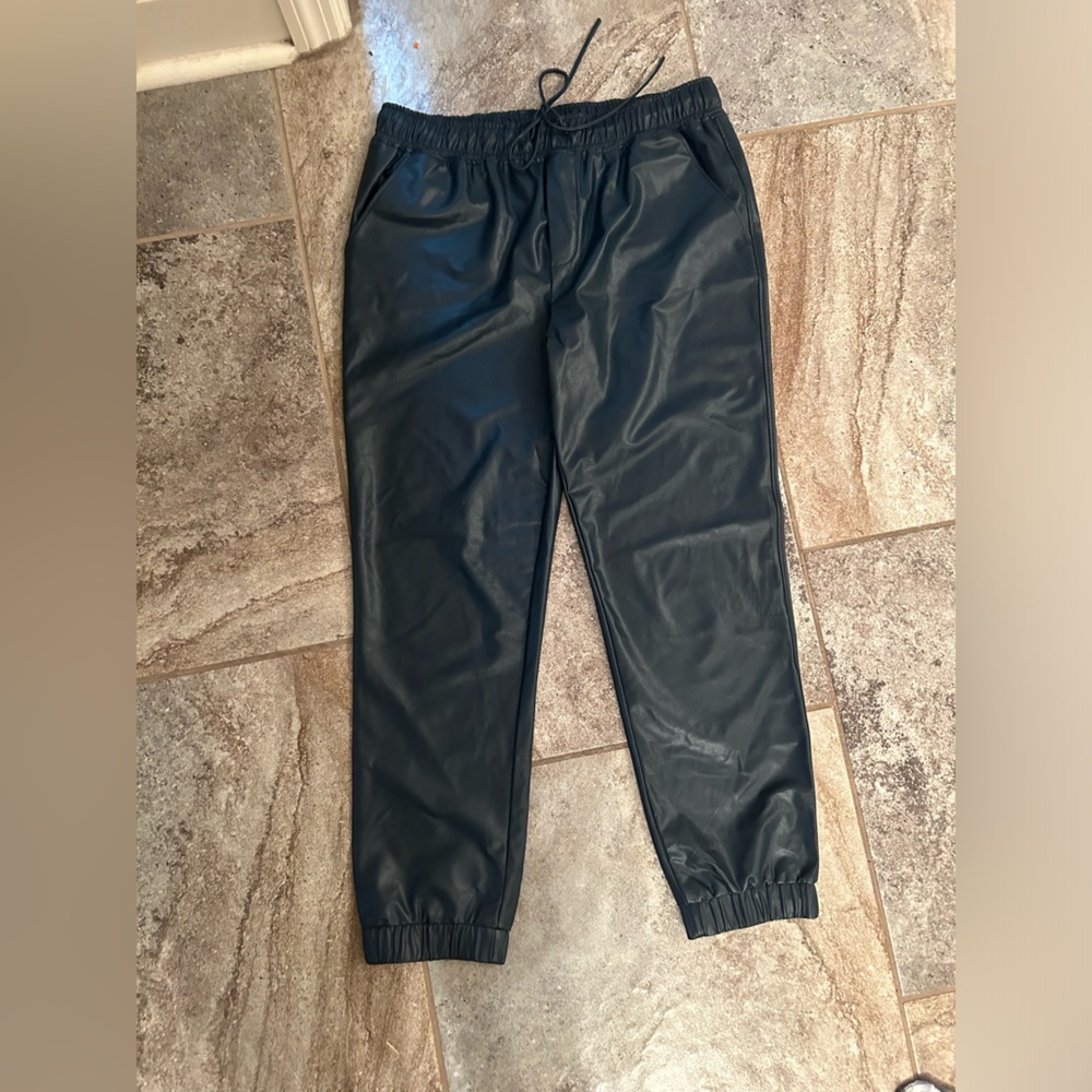The Reset R Label Vegan Leather Joggers in Dark Teal